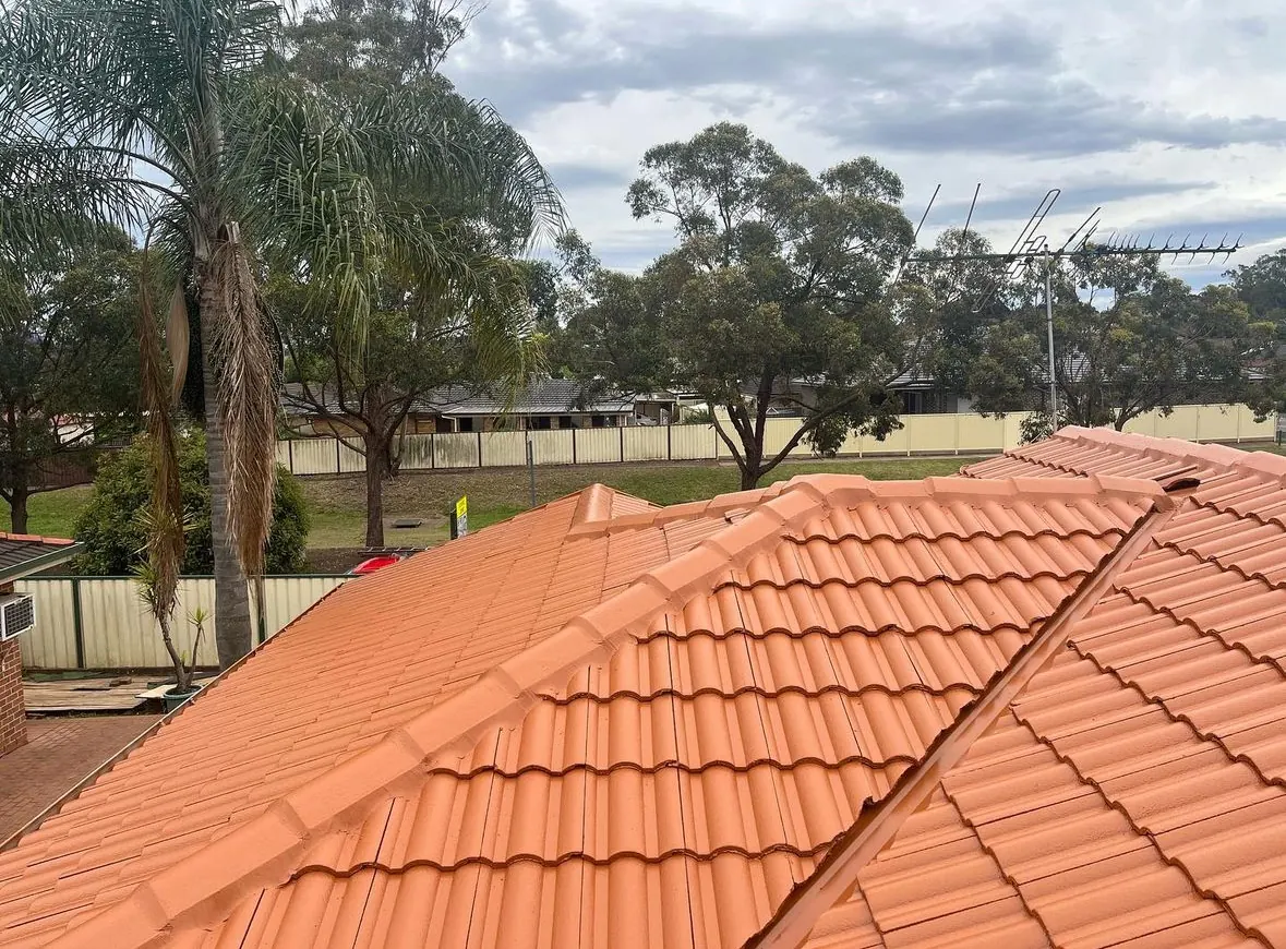 Sydney tile roof after a full restoration and recoat